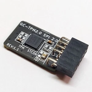 Trusted Platform Module v2.0 (TPM2.0) GC-TPM2.0 SPI 2.0 (12-1 рin) for GIGABYTE - Afbeelding 1 van 3