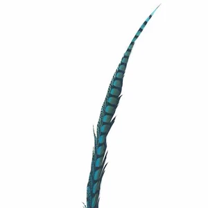 30" to 38" Lady Amherst Pheasant Side Tail Feather - Turquoise - Picture 1 of 3