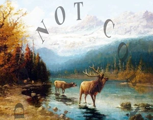 ANTIQUE HUNTING REPRO 8X10 JOHN FERY PHOTOGRAPH PRINT OF ROCKY MOUNTAIN ELK - Picture 1 of 1