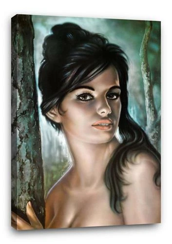 TINA BB1 JH LYNCH Wall Art Poster Photo Print 30x20 CANVAS - Image 1 of 1