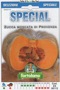 MOSCATA DI PROVENCE KÜRBIS -SPECIAL - Bild 1 von 1