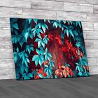 Natures Lush Foliage In Beautiful Leaves Perfect Original Canvas Print Large