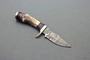 Stag Antler  Horn Hunting Knife Forged Damascus Steel Fixed Blade (6 inches) - Picture 1 of 5