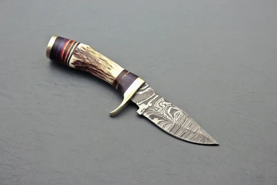 Stag Antler  Horn Hunting Knife Forged Damascus Steel Fixed Blade (6 inches) - Image 1 of 4