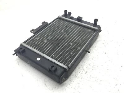 Heizkörper Wasser Flüssigkeit Kühlung Motor DAELIM S2 250 2005 — 第 1/4 张图片