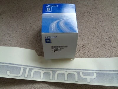 Nuevo de Lote Antiguo GM 15013610 1998 1999 GMC JIMMY LH lado inferior carrocería raya/calcomanía - gris OEM Foto 1 de 4