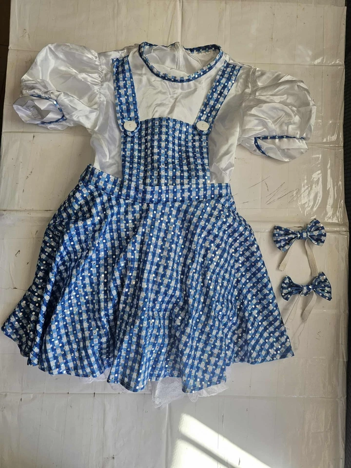  Disfraz de Dorothy El Mago de Oz Niño Niños Libro Semana Elegante talla 4-6 Foto 1 de 3