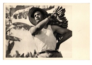 Palestine. Chalutz carrying home the Fruit. - Picture 1 of 2
