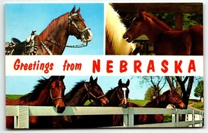 Greetings from Nebraska Banner Postcard Horses Multiview UNP - Picture 1 of 2
