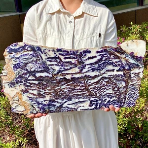 6.72LB Rare Zebra Stone Slices - Natural Crystal with Unique Stripes - Afbeelding 1 van 12