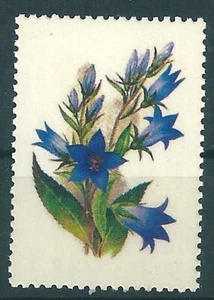 10036 Russia USSR Flora Plant Flower Bellflower Campanula MNH ERROR (1 Stamp) - Picture 1 of 2