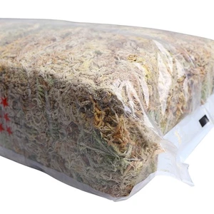 12l/6L natürliche Sphagnum -Moos -Orchideen -Mischung für Orchideengartenanlag - Bild 1 von 14