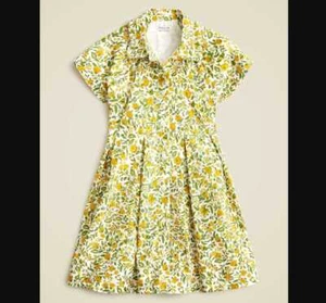 New girl's 5 J Crew x Crewcuts ruffle collar shirtdress in cotton poplin dress - Picture 1 of 7