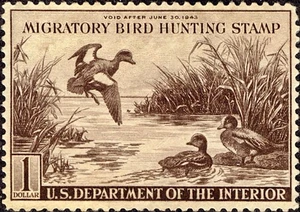 US #RW9 MNH 1942 Federal Duck Hunting Wigeon Baldpates Anas americana - Picture 1 of 1