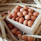 100PC Dolls House Miniature 1:12TH Scale Tiny Chicken Eggs Kitchen Accessories
