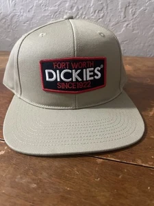 Dickies Skate Twill Flat Bill SnapBack Hat “Desert Sand” Dickies Skateboard NWT - Picture 1 of 10