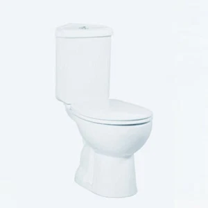 Mini Corner Combined Bidet Toilet With Soft Close Seat - Picture 1 of 15