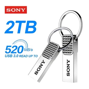 Clé USB 2To USB 3.0 Haute Vitesse Étanche Antichoc Pour PC, TV, Voiture, Mac - Afbeelding 1 van 3