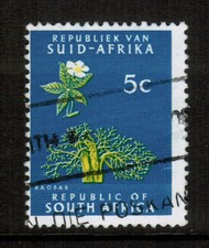 South Africa 1961-63 SG204 5c Baobab Tree Used
