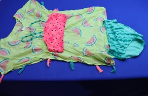Cat and Jack Three Piece Watermelon Themed Girls Bathing Suit Set Size Large - Picture 1 of 4