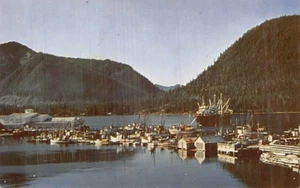 Postal postal: Puerto, Petersburgo, Alaska, años 50, cromo sin publicar - Imagen 1 de 2