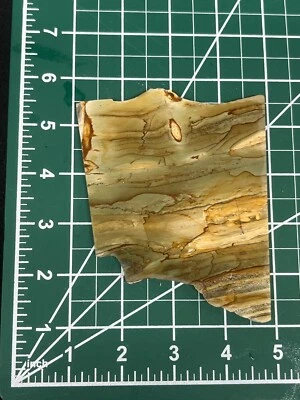 3-1/2" x 4-1/2" x 3/16"  Succor Creek Picture Jasper Slab for Cabbing or Display - Image 1 of 4