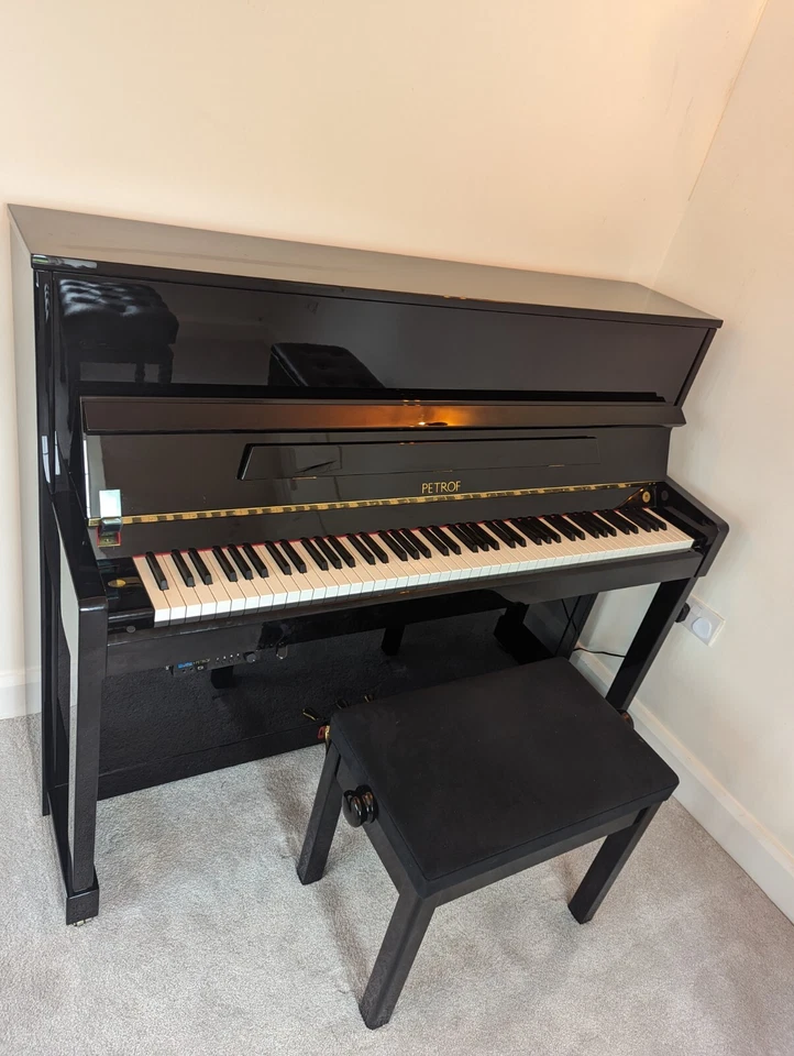 Sistema silencioso vertical Petrof 2022 Foto 1 de 4