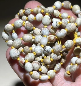 Rare China Inner Mongolia Gobi Eye Agate Stone Collection~100% Natural Designer - Picture 1 of 8