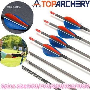 31" tiro con arco flechas de carbono puro ID4.2mm SP500-1200 competencia práctica flechas - Imagen 1 de 24
