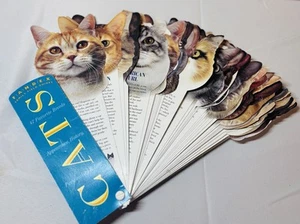 Fandex Family Field Guides: Katzen - Arbeiterverlag - 50 gestanzte Karten - Bild 1 von 4
