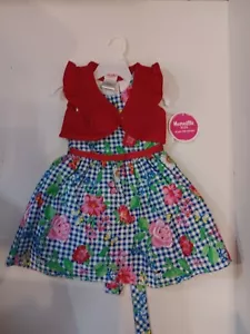 Gingham Print Little Girl Flower Spring Dress Flower Girl Wedding Dance Size 3T - Picture 1 of 7