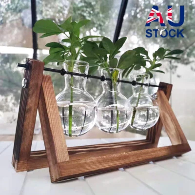 Propagation Station Wooden Stand Desktop Glass Vases Hydroponics  Plant Pot  - image 1 of 4