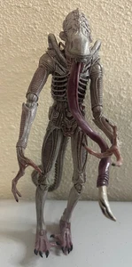 NECA Aliens Concept Xenomorph Albino Drone 7" Inch Actionfigur - Bild 1 von 5