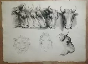 LE BRUN 1806 RAPPORT PHYSIONOMIE HUMAINS/ANIMAUX: TETE DE BOEUFS, LION, CHEVAL - Picture 1 of 6