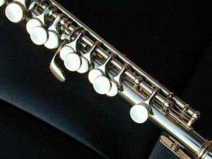Berkeley Pro Silver Piccolo Flute Key of C - Picture 1 of 2