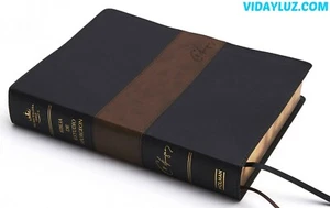 SPURGEON STUDIENBIBEL, KÖNIGIN VALERA 1960, DUOTONO LEDER SCHWARZ/KAFFEE - Bild 1 von 5