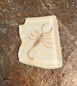 Vintage 70er 80er Jahre ARIZONA staatlich geformter Skorpion ummantelt Plexiglas Harz Briefbeschwerer - Bild 1 von 3