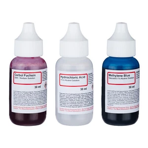 Kit de tinción rápida de ácido AmScope SK-3 - 3 diapositivas de bacterias microscopio Stanis 4 fabricación - Imagen 1 de 2