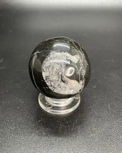 Polished Crinoid Fossil Crystal Sphere Fossilized Crinoid Ball 1.457” - Picture 1 of 12