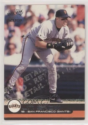 2001 Pacific Retail LTD /85 JT Snow #391 - Image 1 of 2