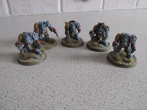 WARHAMMER 40.000 TERMINATORS 5 MINI FIGURAS WOLFGUARD EXPERT PINTURA METAL FUERA DE SERVICIO 1E - Imagen 1 de 3