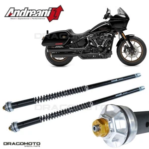 HARLEY-DAVIDSON Softail Low Rider ST / FXLRS 2022-2023 ANDREANI 110 Cartridge... - Picture 1 of 5