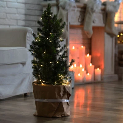 Catena Luci Lichtdraht Leuchtkette 20xLED Decorative Batteria Argento L 220 CM - Immagine 1 di 4