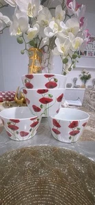 Dunelm Poppy Breakfast Bowl Microwave Safe And Dishwasher Safe Used - Picture 1 of 6