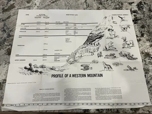 Póster de tabla de enseñanza de conservación de Boy Scouts Profile of a Western Mountain 1967 - Imagen 1 de 2