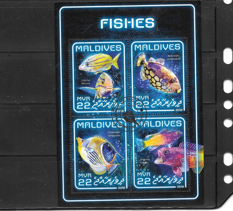 MALDIVES 2018 FISH TROPICAL ANIMALS  s/s souvenir sheet recent CTO USED stamp - Image 1 of 1