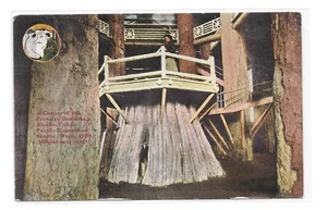 Postal De Colección AYP Feria Mundial 1909 EDIFICIO FORESTAL Alaska Yukón Seattloe - Imagen 1 de 2