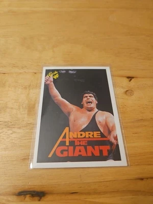 Clásico WWF 1990 - Andre the Giant #10 Foto 1 de 3