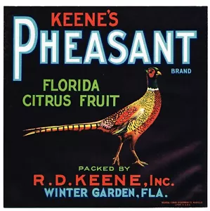 ORIGINAL KISTENETIKETT VINTAGE FLORIDA 30ER JAHRE ORANGE WINTERGARTEN FASAN 9X9 G65 - Bild 1 von 1