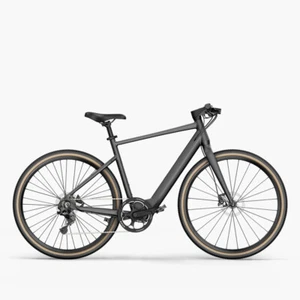 Fiido C21 City E-bike Seat Tube Height 550 Mm Aluminum AlloyCertificate - Picture 1 of 18